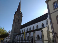 Erkundung von Heimerads Heimat Rheinfall, Radolfzell, Reichenau